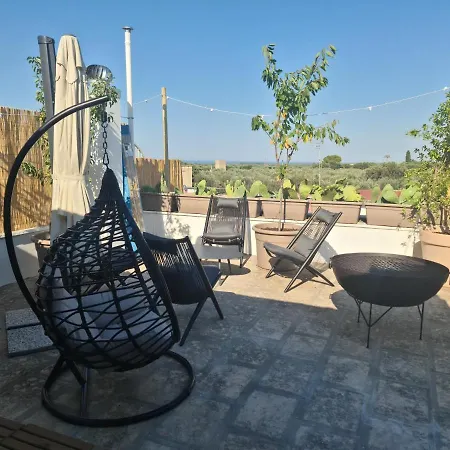 Ulivi Di Minerva - Boutique - Super & Pollon - Ostuni - Fasano - Cisternino * Montalbano (Apulia)
