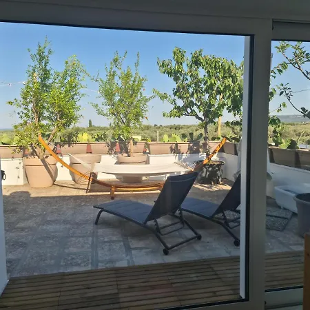 Ulivi Di Minerva - Boutique - Super & Pollon - Ostuni - Fasano - Cisternino